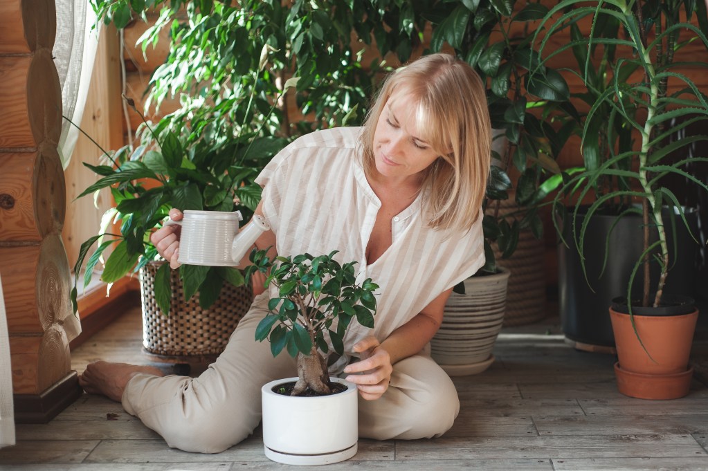 Mujer con cabello rubio cuidando una planta en una maceta blanca mientras sostiene una regadera en un entorno lleno de plantas.
